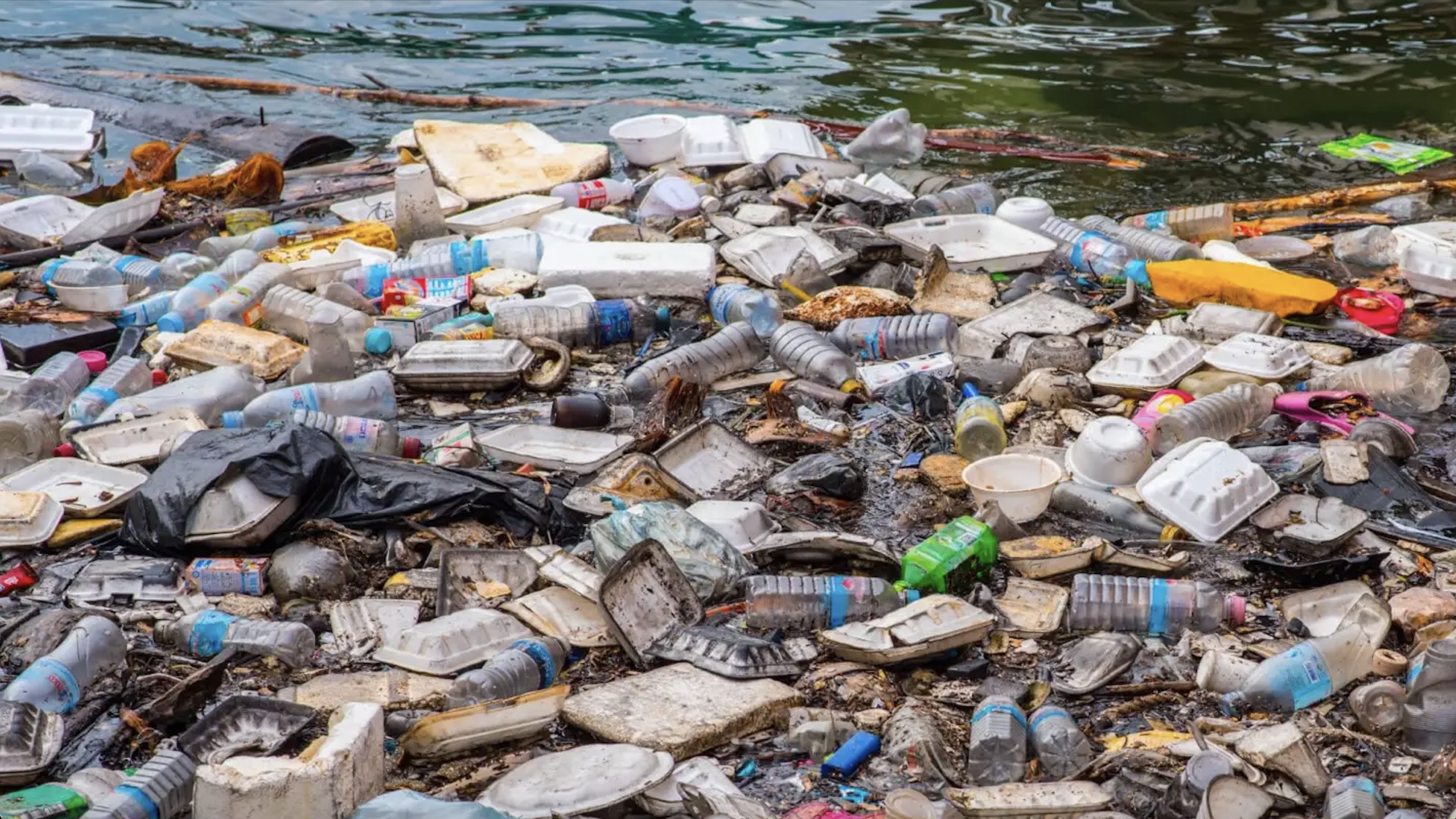 a body of water with litter